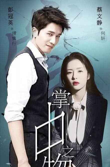 掌中之物电视剧什么时候播出？掌中之物播出时间介绍