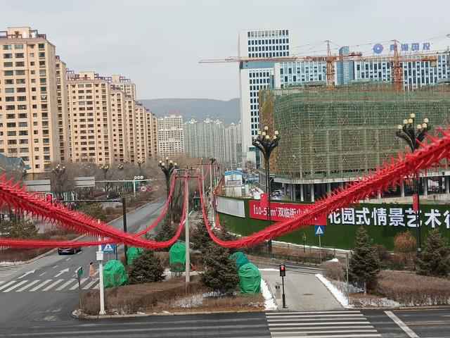 “鸟害”频频威胁电网 新型装置来帮忙