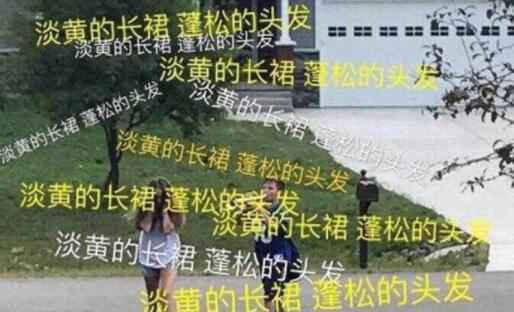 淡黄的长裙蓬松的头发什么梗 此梗原来是因为她！