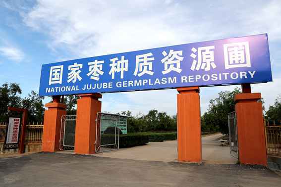 晋中国家农高区科创基地4月底前完工所有建设项目