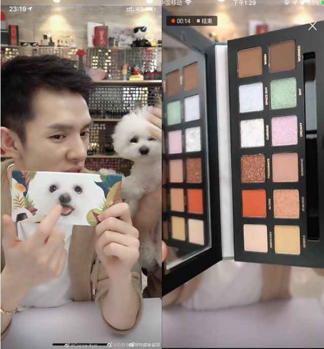 李佳琦送never去当治愈犬怎么回事？李佳琦的狗狗是什么品种