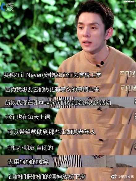 李佳琦送never去当治愈犬怎么回事？李佳琦的狗狗是什么品种