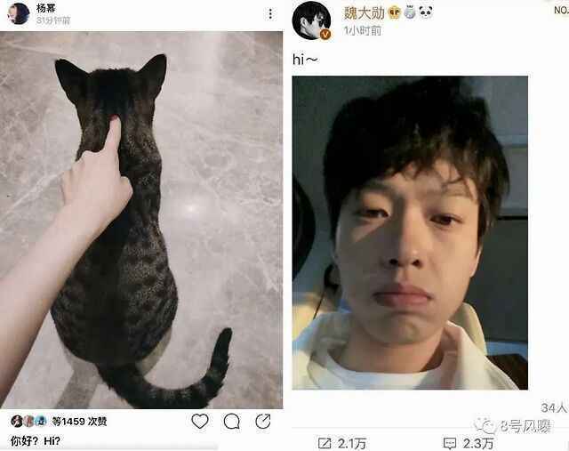 杨幂躲房车陪魏大勋拍戏怎么回事？杨幂魏大勋什么时候官宣呢？