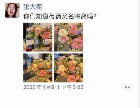 张大奕和天猫总裁什么情况？张大奕是谁资料照片为何被天猫总裁夫人点名