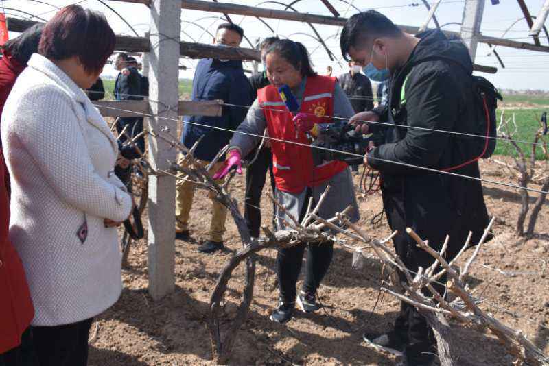 陕西渭南：特色线上科普品牌助力疫情防控和复工复产