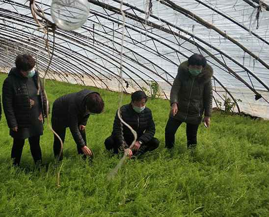 打造田间的“常驻军”，培养地里的“田秀才”