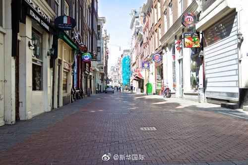 荷兰现貂感染新冠怎么回事？ 貂是如何感染新冠的？