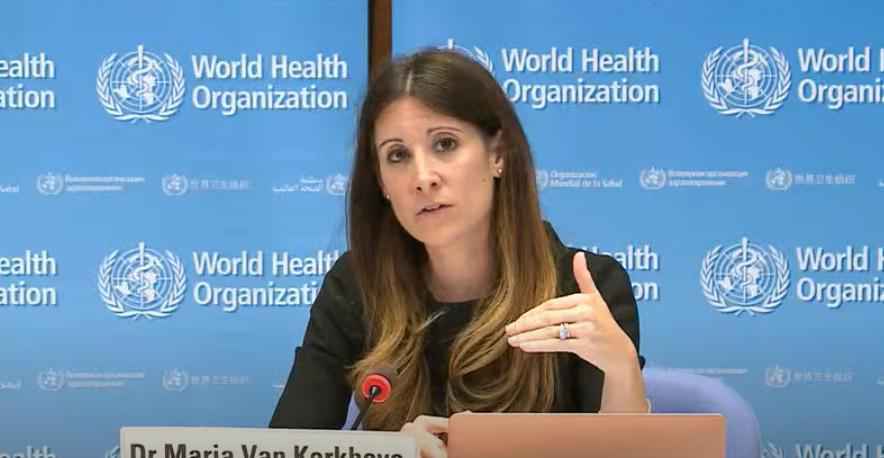 1.5万个基因序列显示病毒非人造怎么回事 那新冠肺炎病毒是怎么来的