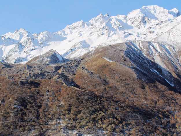 我科学家揭示生物因子调控喜马拉雅高山树线变化速率