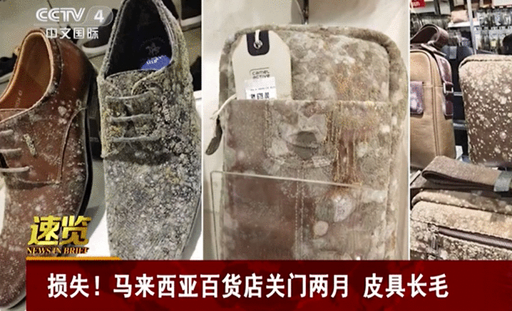 封城后马来西亚百货店皮具长毛怎么回事 图片曝光令人恐惧