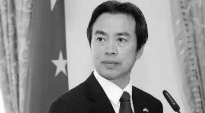杜伟大使 资料图