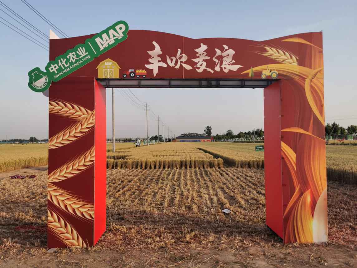 “丰吹麦浪—MAP农场丰收直播月”系列活动首场在河南临颍拉开帷幕