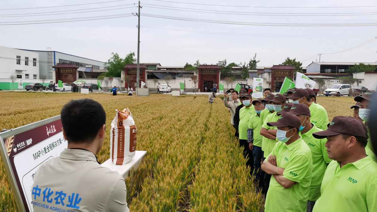 “丰吹麦浪—MAP农场丰收直播月”系列活动首场在河南临颍拉开帷幕