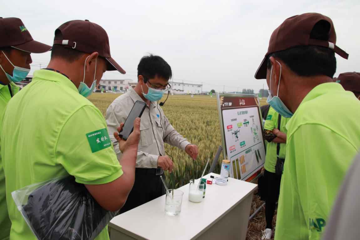 “丰吹麦浪—MAP农场丰收直播月”系列活动首场在河南临颍拉开帷幕