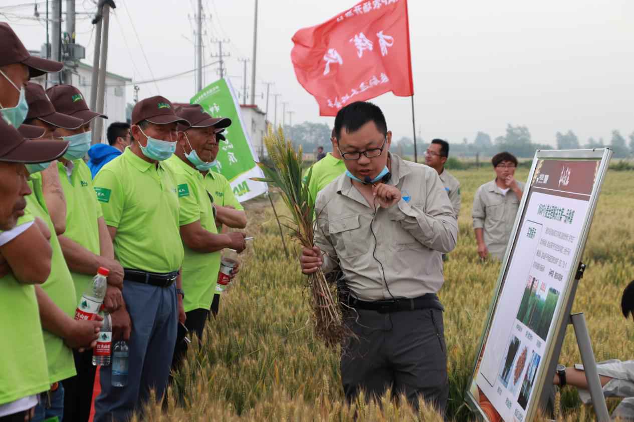 “丰吹麦浪—MAP农场丰收直播月”系列活动首场在河南临颍拉开帷幕