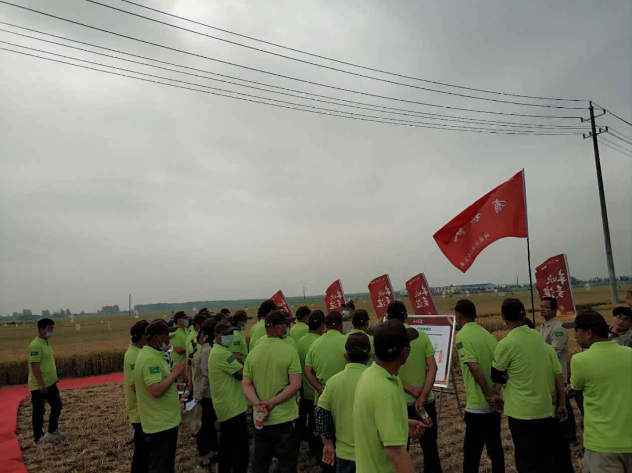 “丰吹麦浪—MAP农场丰收直播月”系列活动首场在河南临颍拉开帷幕