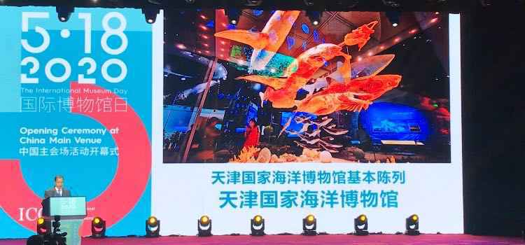 大美！2019年全国博物馆十大陈列展览精品揭晓啦