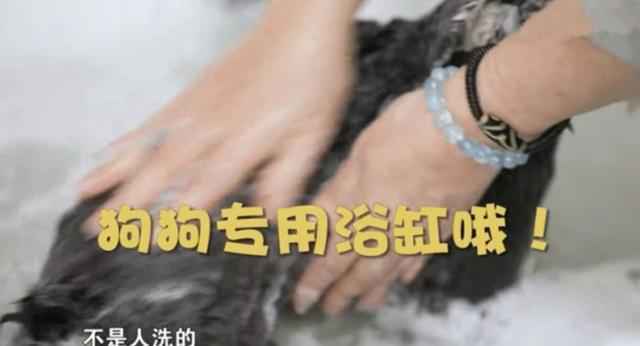 周海媚晒上亿豪宅怎么回事 屋内奢华内景令人惊叹太好壕了