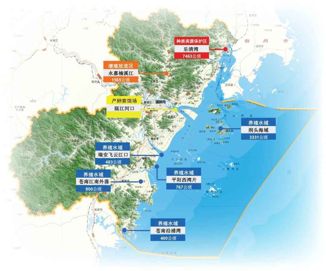精准治污+滨海修复，浙江温州续写“蓝色海湾”乐章