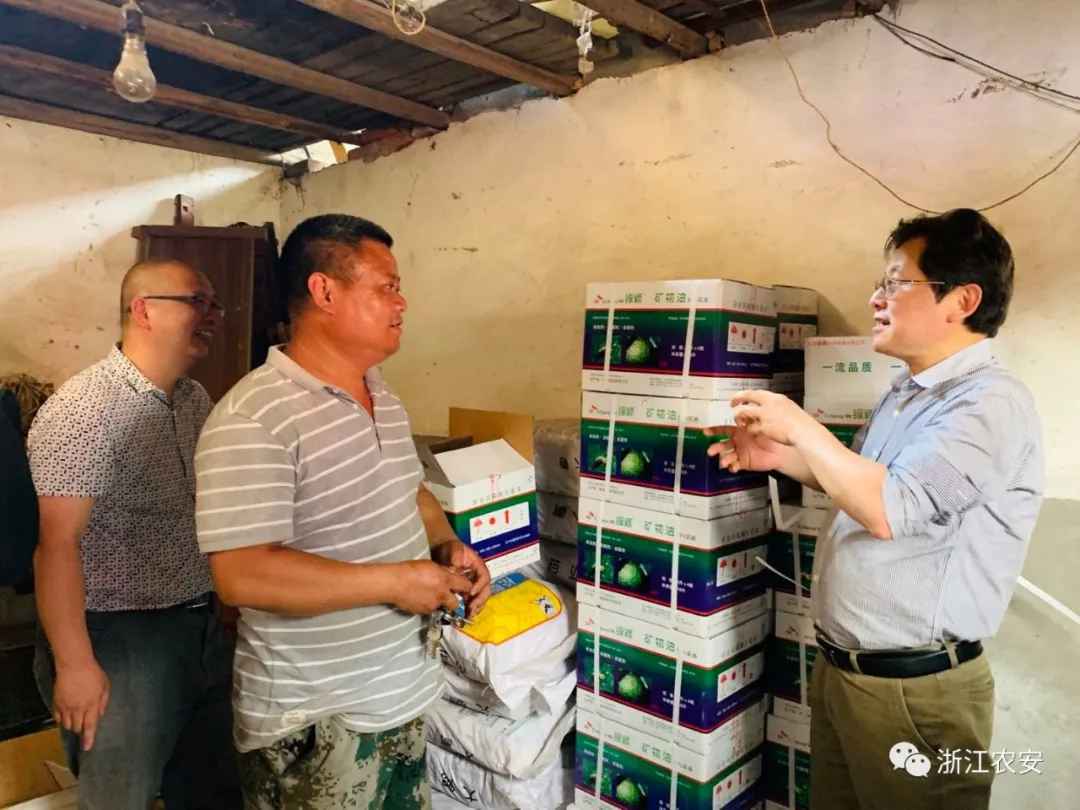 做强“一县一品” 促进乡村振兴，“新云采消费助农计划”于杭州启动