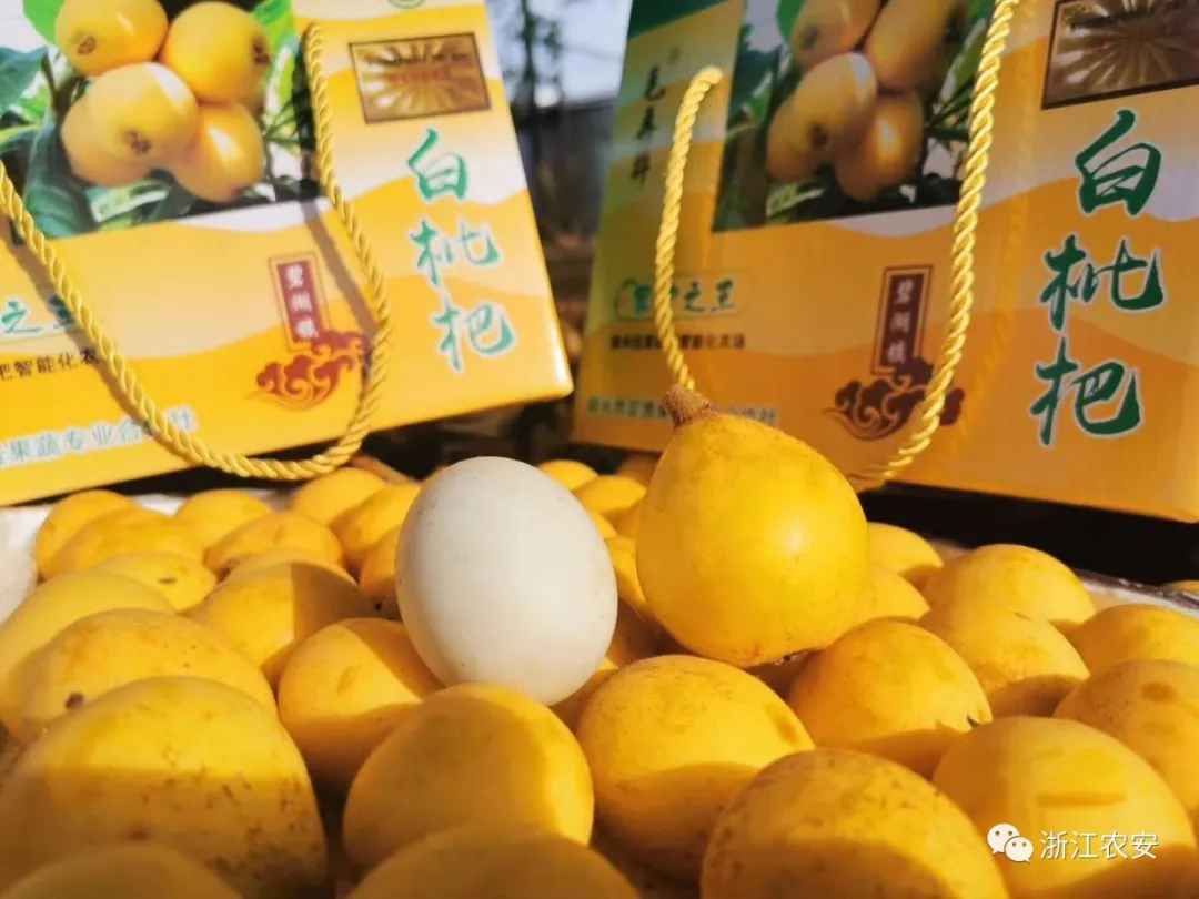 做强“一县一品” 促进乡村振兴，“新云采消费助农计划”于杭州启动
