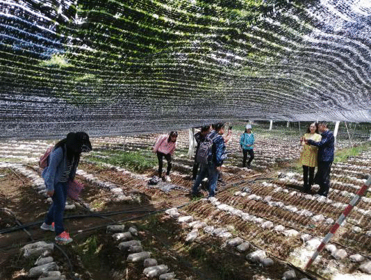 在脱贫攻坚主战场上创新科技扶贫的云南模式