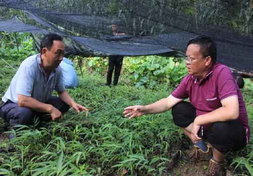 在脱贫攻坚主战场上创新科技扶贫的云南模式