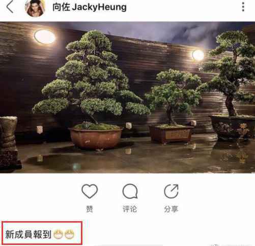 向佐发图暗示郭碧婷怀孕怎么回事？郭碧婷怀孕是真的吗？