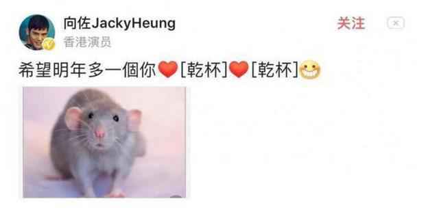 向佐发图暗示郭碧婷怀孕怎么回事？郭碧婷怀孕是真的吗？