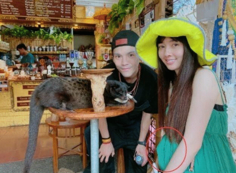 向佐发图暗示郭碧婷怀孕怎么回事？郭碧婷怀孕是真的吗？