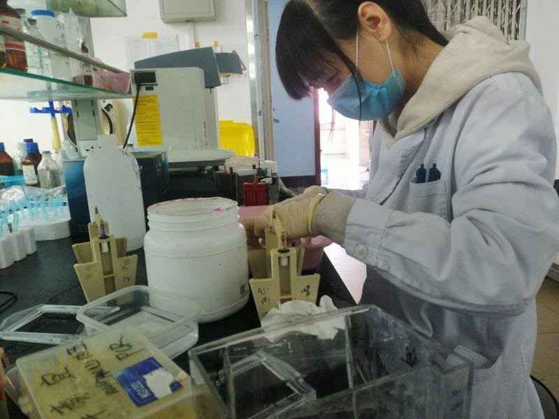 新发现：抗心衰药物对房颤也有效
