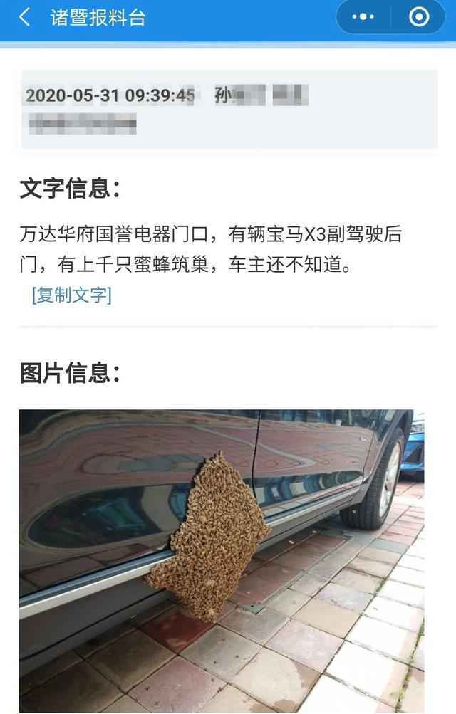上千只蜜蜂在宝马车上筑巢怎么回事 现场照片曝光令人毛骨悚然