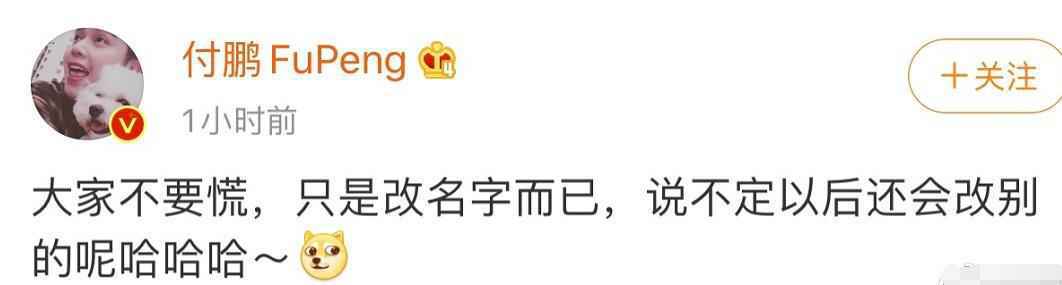 李佳琦小助理回来了怎么回事？付鹏和李佳琦是什么关系揭秘