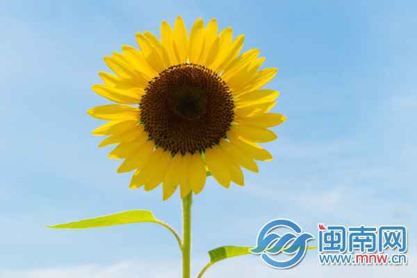 抖音最火毕业寄语是什么 抖音最火毕业寄语都有哪些大盘点