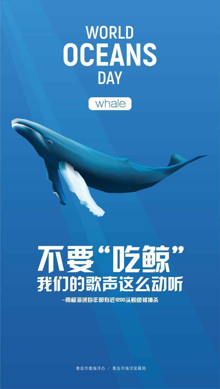 青岛：系列海洋主题公益活动扮靓世界海洋日