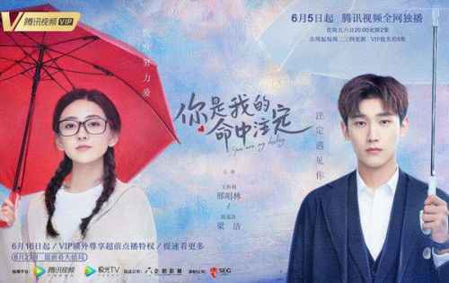 你是我的命中注定电视剧在线观看 免费播全集百度云资源下载