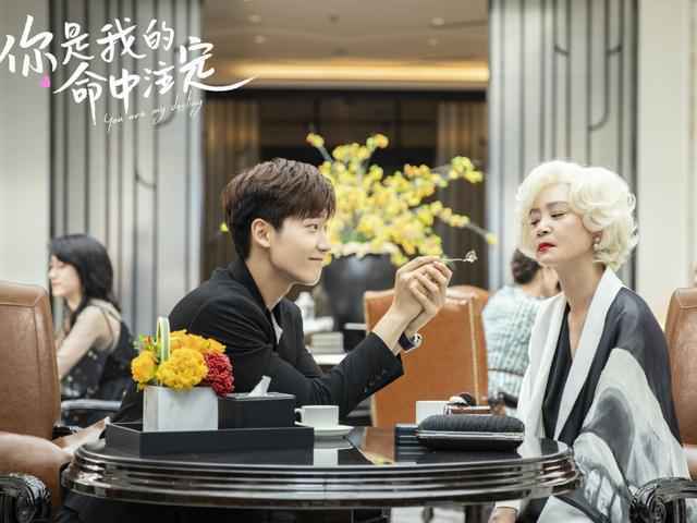 你是我的命中注定全集在线观看 你是我的命中注定电视剧高清在线看