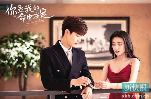 你是我的命中注定电视剧更新免费观看 你是我的命中注定全集手机版资源