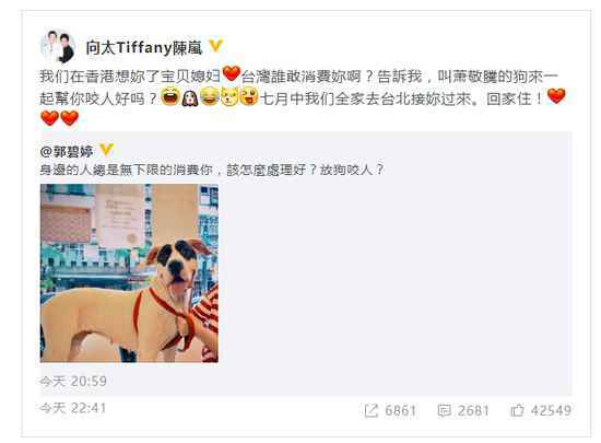 向太安慰郭碧婷怎么回事 向太安慰郭碧婷说了什么