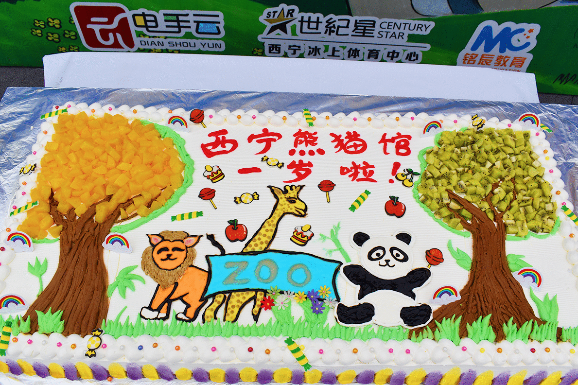“圆滚滚”定居青藏高原一年引来50万名“猫粉”