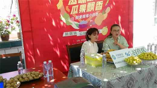 两大库车小白杏俏销的秘诀！科技提品质，办杏子节10年如一日推介