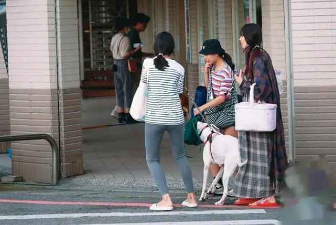 郭碧婷怀孕是真的吗几个月了？郭碧婷孕照曝光真的是变化太大了