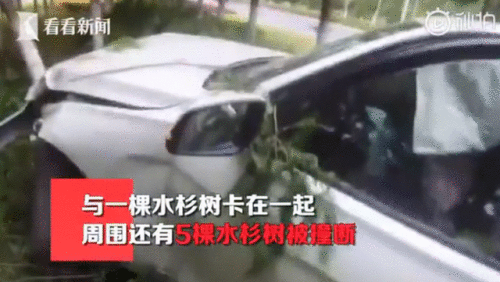 吃感冒药后开车连撞六棵树怎么回事？具体详情始末曝光太惊魂