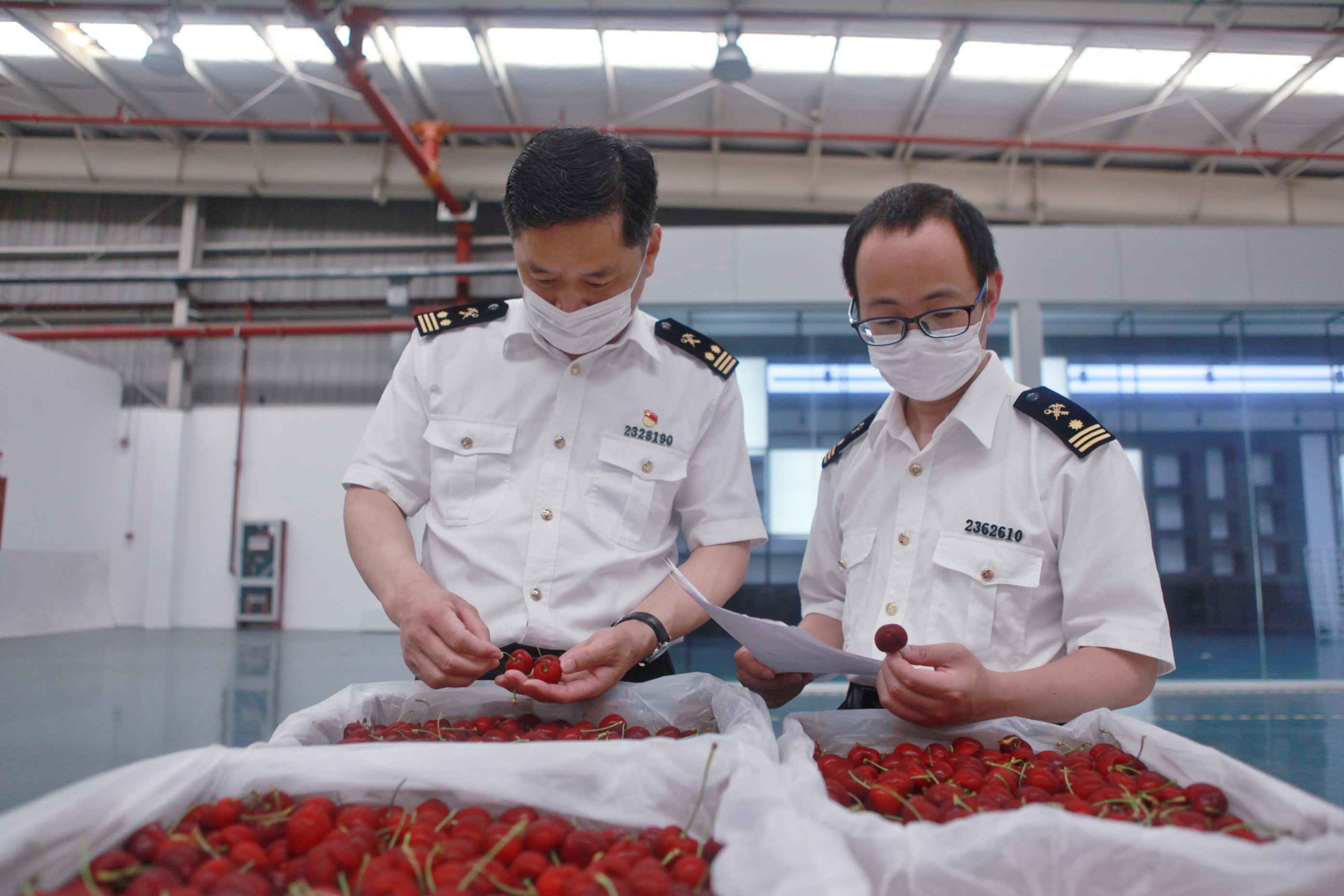 海关总署：重点进口商品样品新冠病毒监测结果均为阴