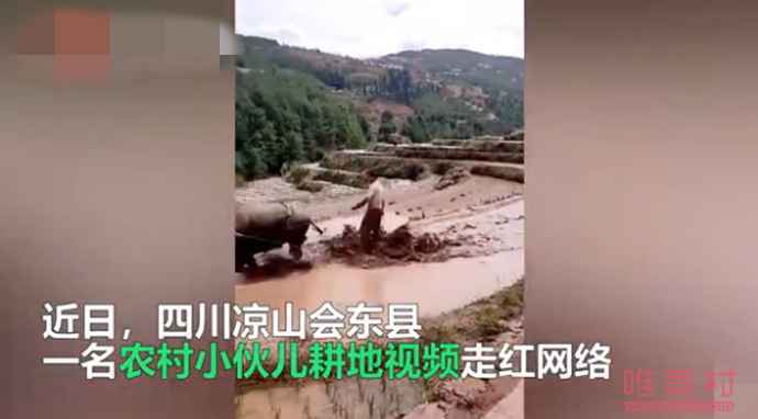 乘风破浪的耕地小伙走红怎么回事 乘风破浪的耕地小伙走红是什么情况