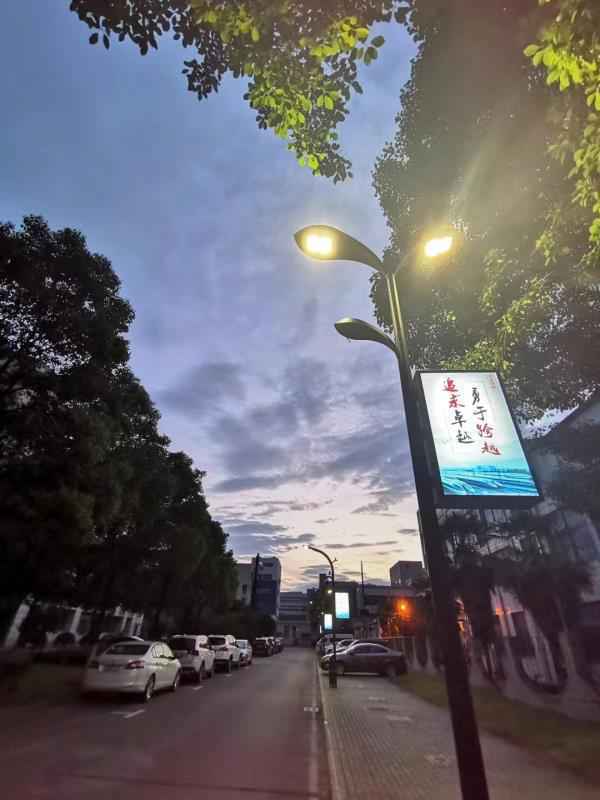 智慧路灯“点亮”科技生活