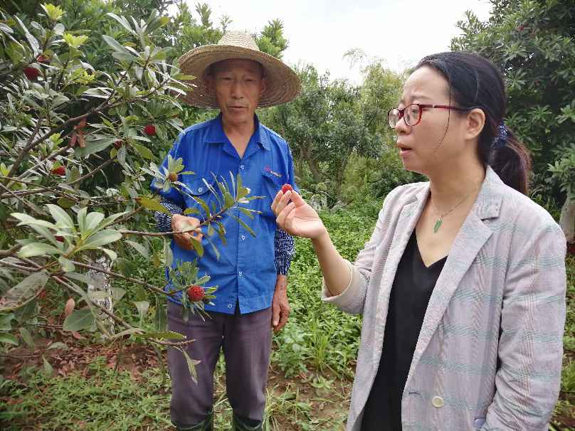 石元敏：用专业特长改变农业经营模式