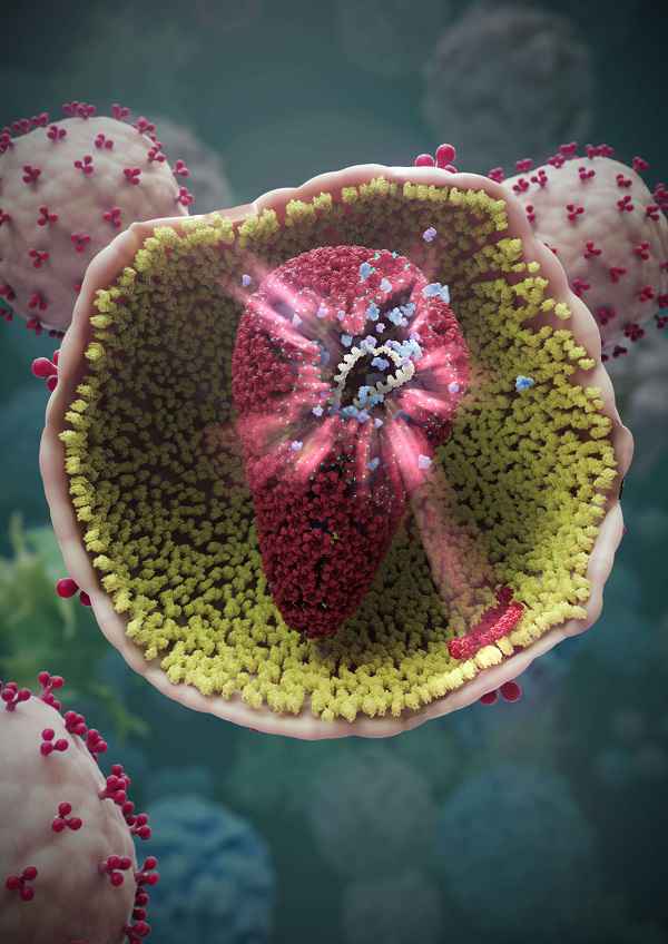 强力破坏HIV“衣壳”，六个月后仍有活性，有望长效治疗艾滋病的候选药诞生|总编辑圈点