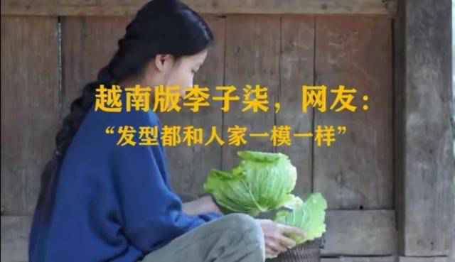 律师称李子柒维权难度较大怎么回事 李子柒维权难度为什么较大