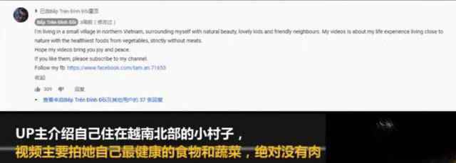 律师称李子柒维权难度较大怎么回事 李子柒维权难度为什么较大